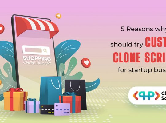 5 Reasons why you should try custom clone script for startup