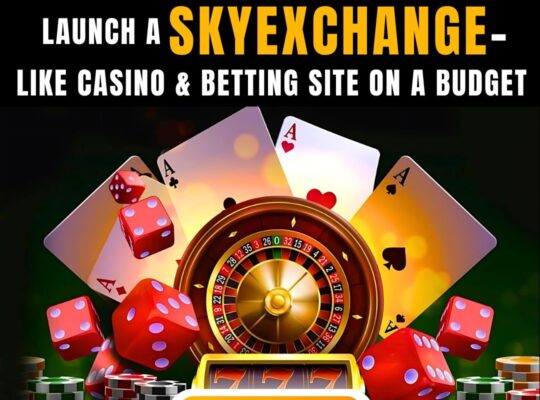 Skyexchanges Clone Script for Sportsbook Business