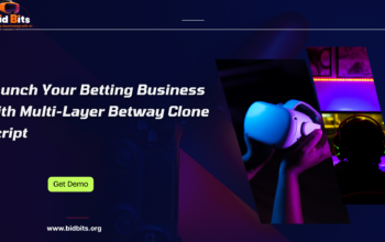 Launch Your Betting Business with Multi-Layer Betw